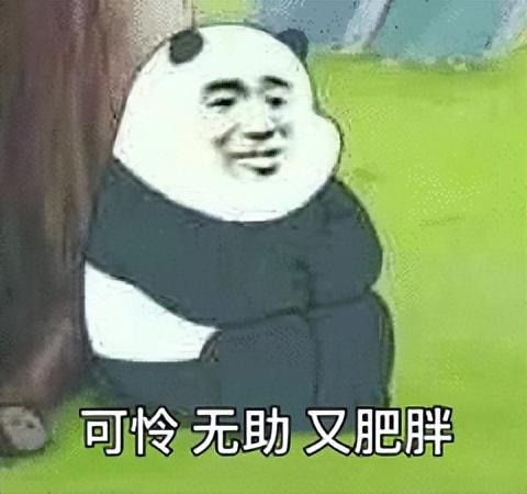 小鵬一開年就規劃 30 款車!給網友看笑了