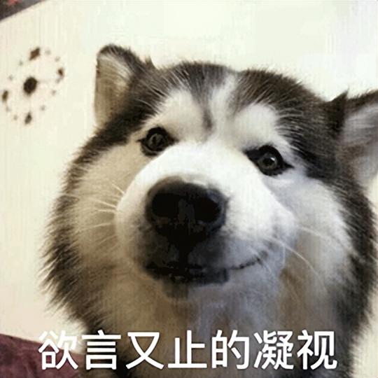 小鵬一開年就規劃 30 款車!給網友看笑了