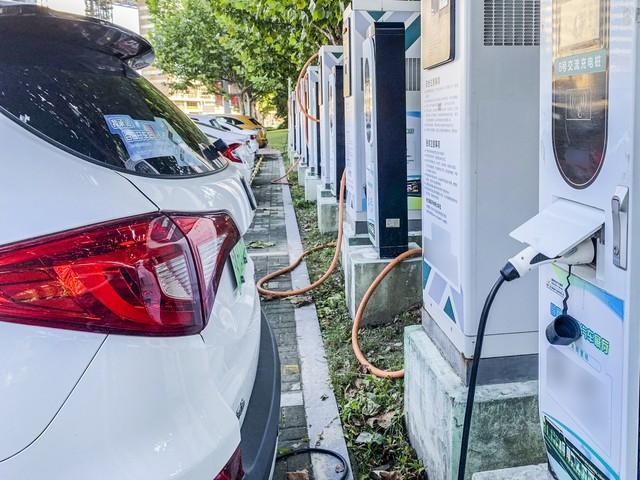 買了電車3年后,才知道關于電車的“謠言”有多離譜,都是真心話
