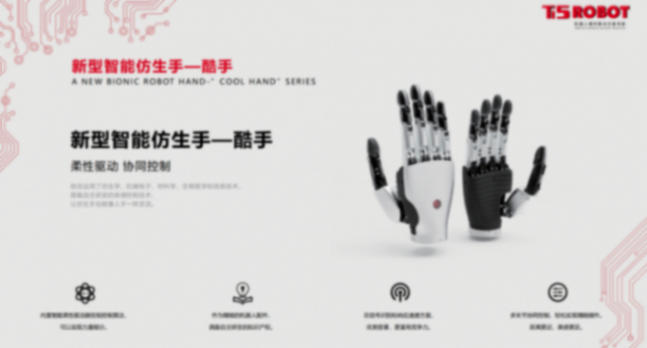 鈦虎機器人:先進電驅平臺加速智能具身 鈦虎機器人:先進電驅平臺加速智能具身