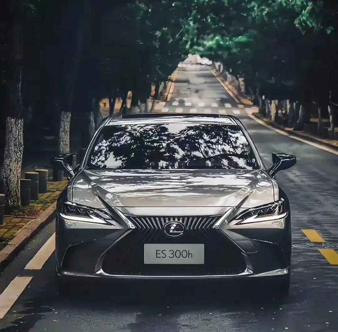 買車參考!雷克薩斯1年半18000公里,車主真實感受反饋!