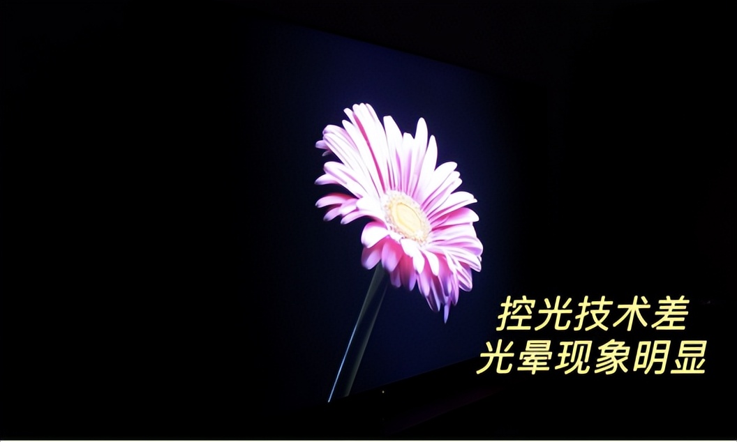 搞懂這三點,Mini LED電視不怕選錯!TCL T7L Pro實測分享