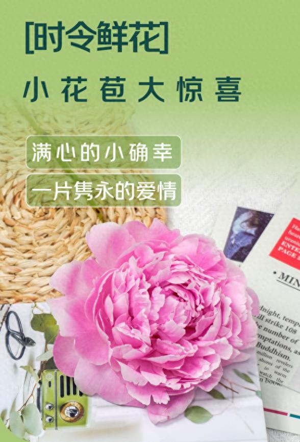 京東七鮮“繁花計劃”啟動 通過產地直采+包銷重塑鮮花即時零售新生態