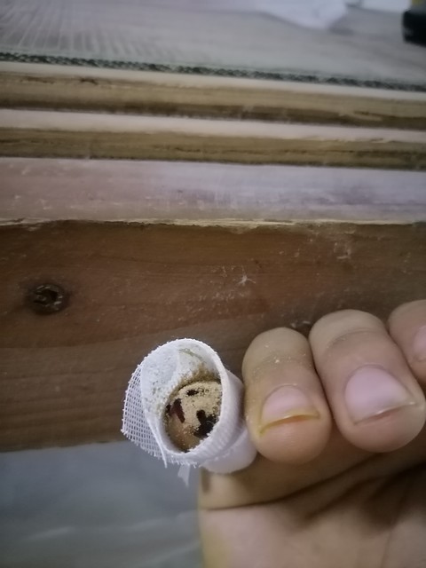 二手房真的能買嗎?看完這3點再決定!