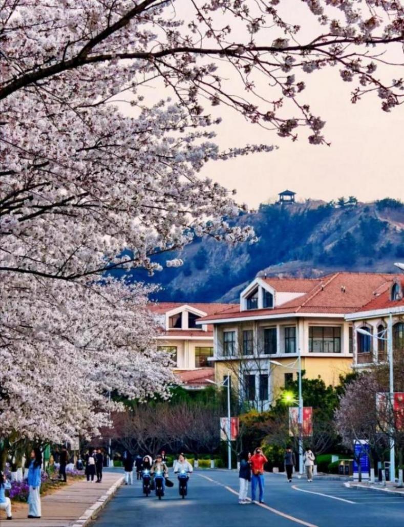 中國改名最成功的985大學,錄取分數(shù)不高,但考上就是“鐵飯碗”